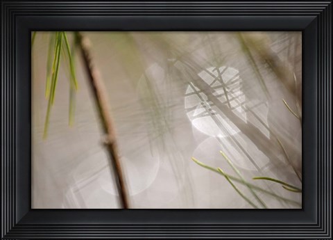 Framed Abstract by the River Print