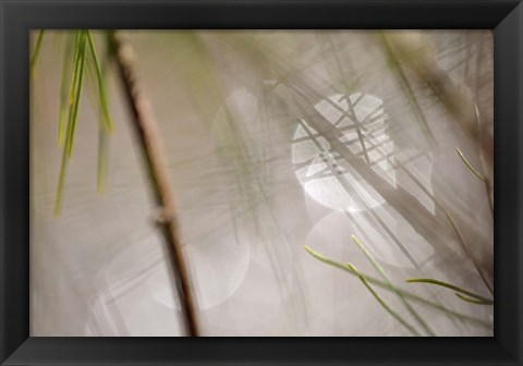 Framed Abstract by the River Print