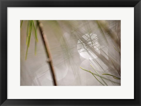 Framed Abstract by the River Print