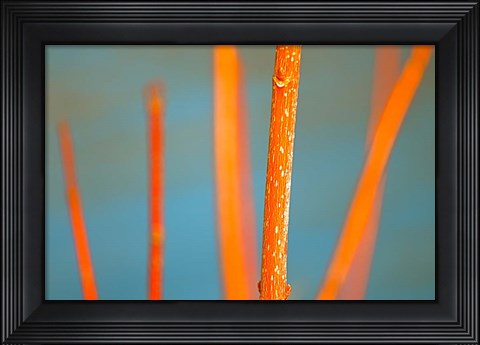 Framed Along the River No. 5 Print