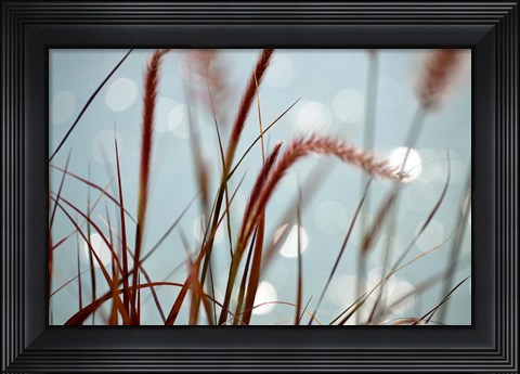 Framed By the Chicago River No. 3 Print