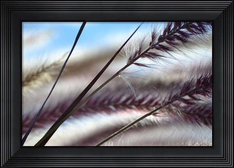 Framed Grasses No. 8 Print