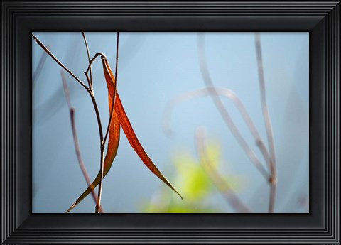 Framed Red and Green by the River Print