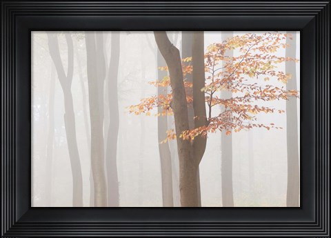 Framed Arnhem Park Zypendaal Print