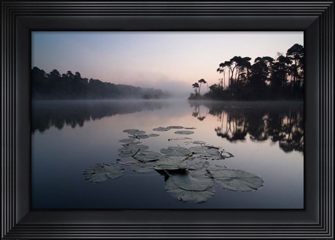 Framed Oisterwijkse Vennen Print