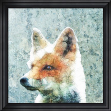 Framed Abstract Fox Print