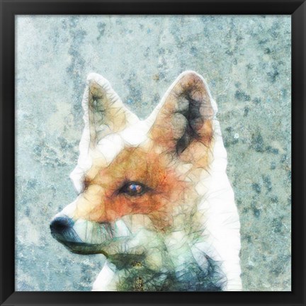 Framed Abstract Fox Print