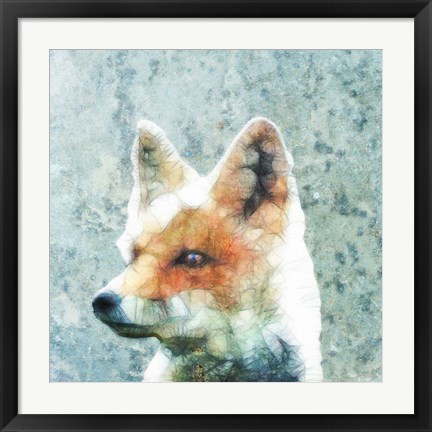 Framed Abstract Fox Print