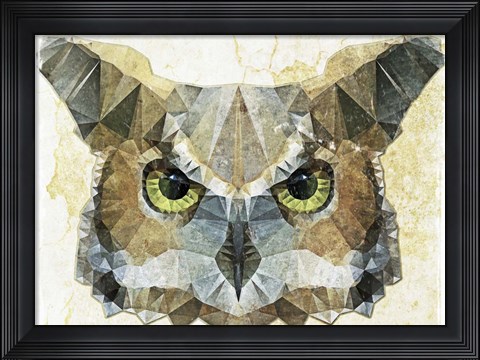 Framed Abstract Owl Print