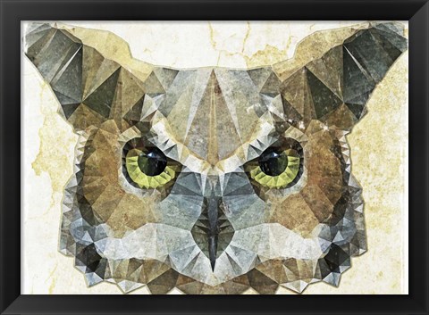 Framed Abstract Owl Print