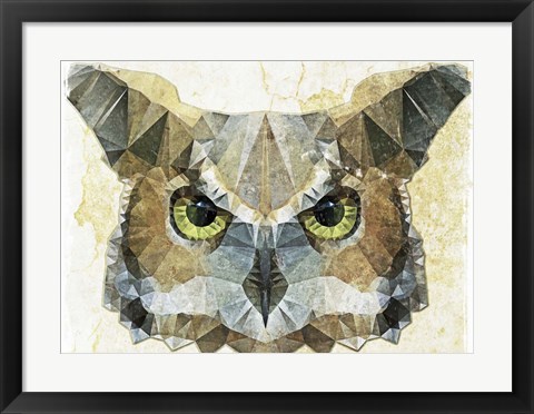 Framed Abstract Owl Print