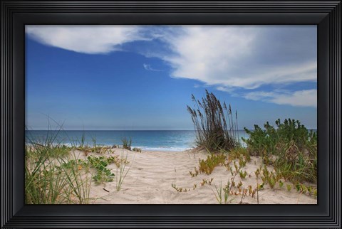 Framed Dune Trail Print