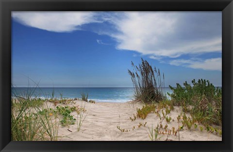 Framed Dune Trail Print