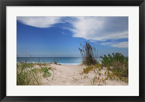 Framed Dune Trail Print