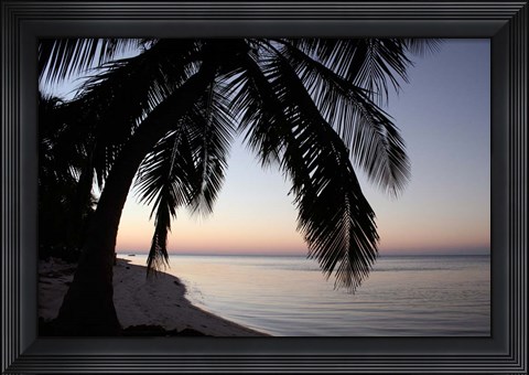 Framed Palm Tree Sunset Print