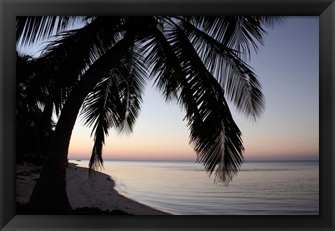 Framed Palm Tree Sunset Print