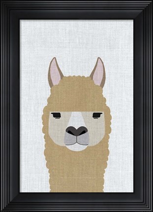 Framed Alpaca Print