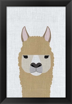 Framed Alpaca Print