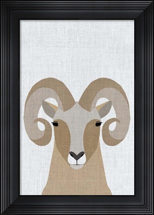 Framed Bighorn Sheep Print