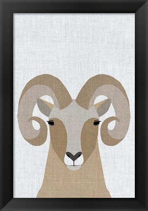 Framed Bighorn Sheep Print