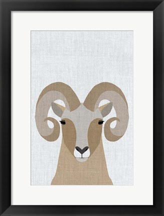 Framed Bighorn Sheep Print