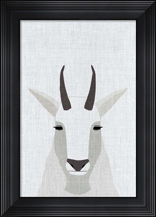 Framed Mountain Goat Print