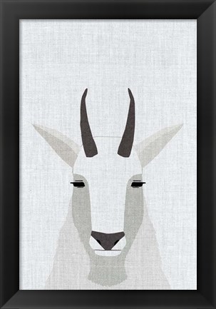 Framed Mountain Goat Print