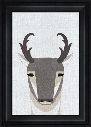 Framed Pronghorn Antelope Print