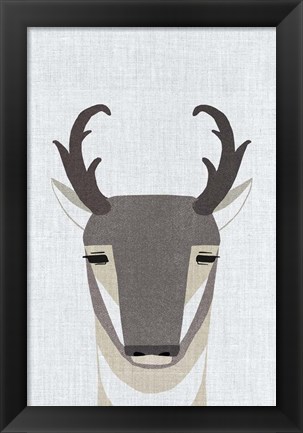 Framed Pronghorn Antelope Print