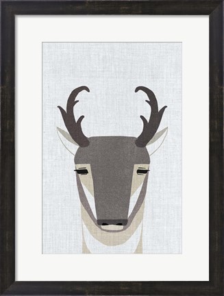 Framed Pronghorn Antelope Print