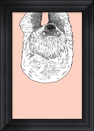 Framed Sloth Print