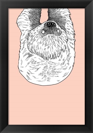 Framed Sloth Print