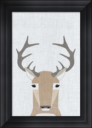 Framed Whitetail Deer Print
