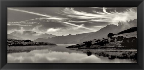 Framed Cirrus Print