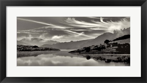 Framed Cirrus Print