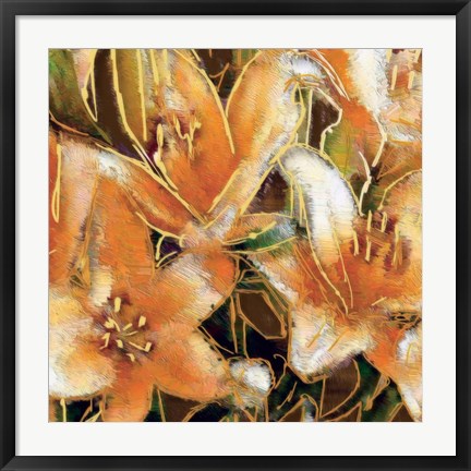 Framed Apricot Dream II Print