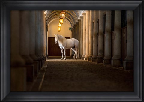 Framed In The Barn Print