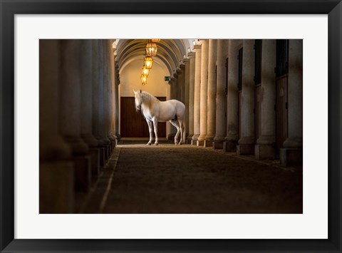 Framed In The Barn Print