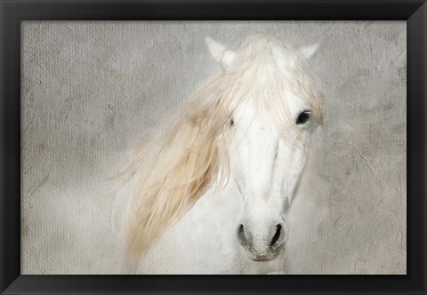 Framed Stallion Face Print