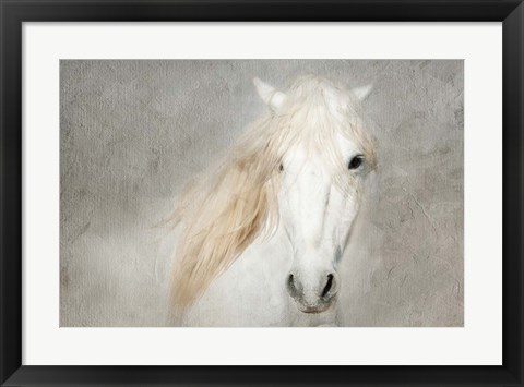 Framed Stallion Face Print