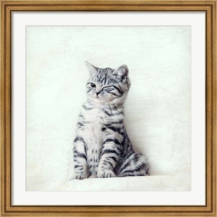 Framed Cat Winks Print