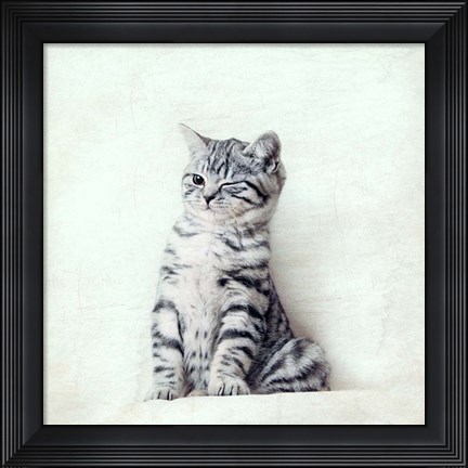Framed Cat Winks Print