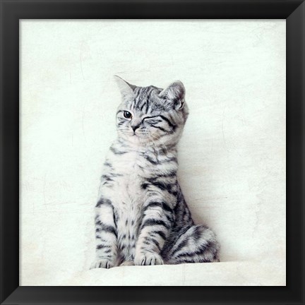 Framed Cat Winks Print