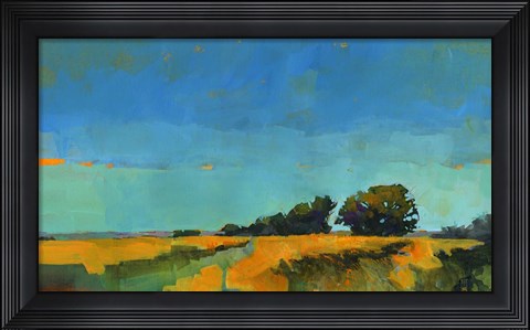 Framed Oblique Illumination Print