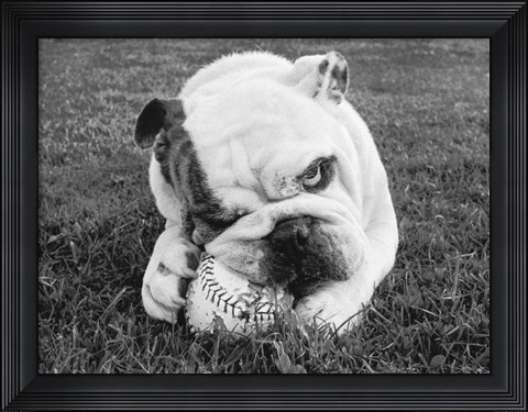 Framed Obsess Print