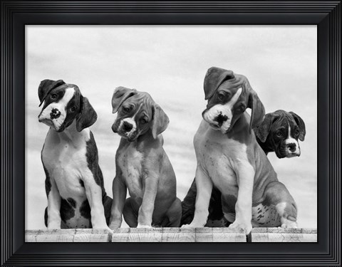 Framed Wonder Print
