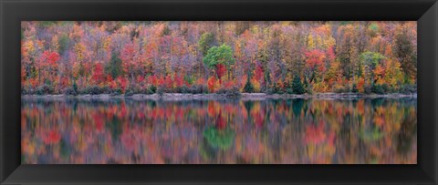 Framed Upson Lake Reflection Print