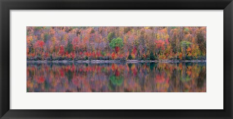 Framed Upson Lake Reflection Print