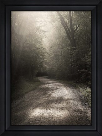 Framed Back Country Road Print