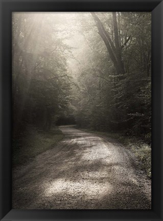 Framed Back Country Road Print